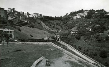 L'albero della memoria