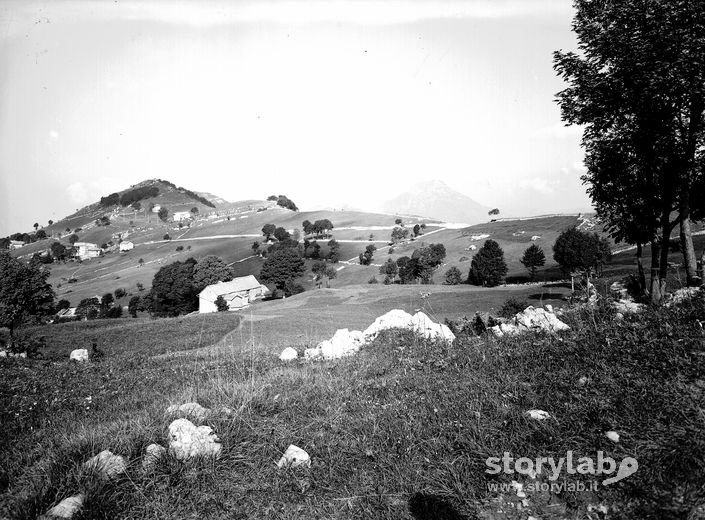 Paesaggio Montano