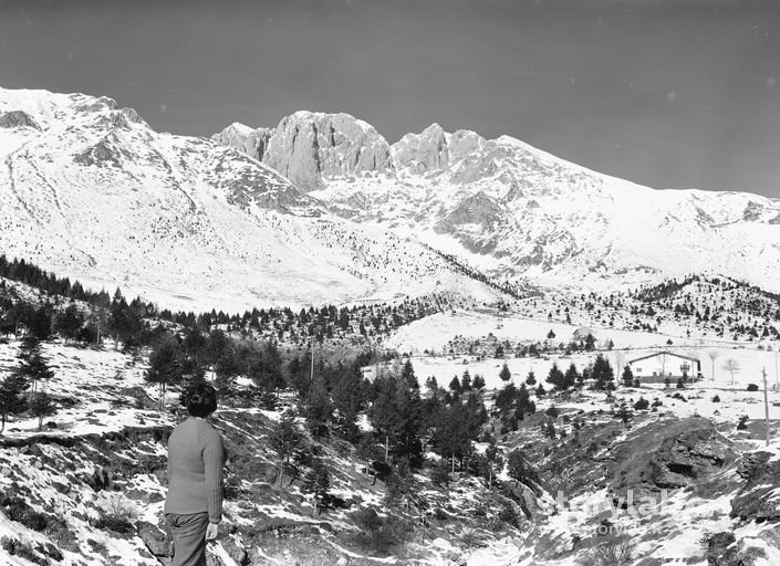 Paesaggio Montano