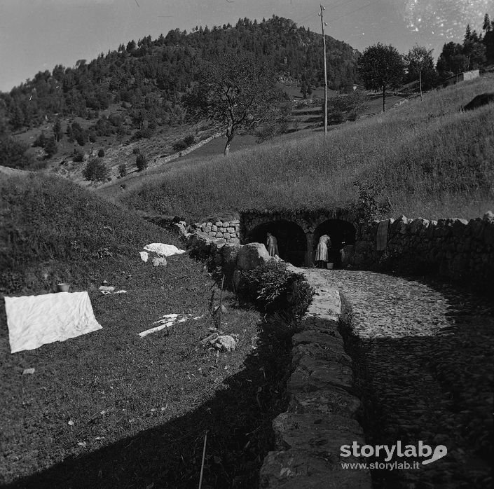 Donne al lavoro