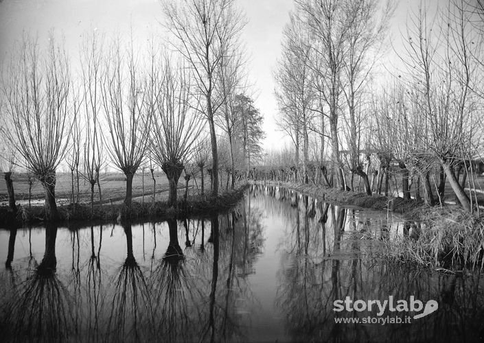 Riflessi nel ruscello