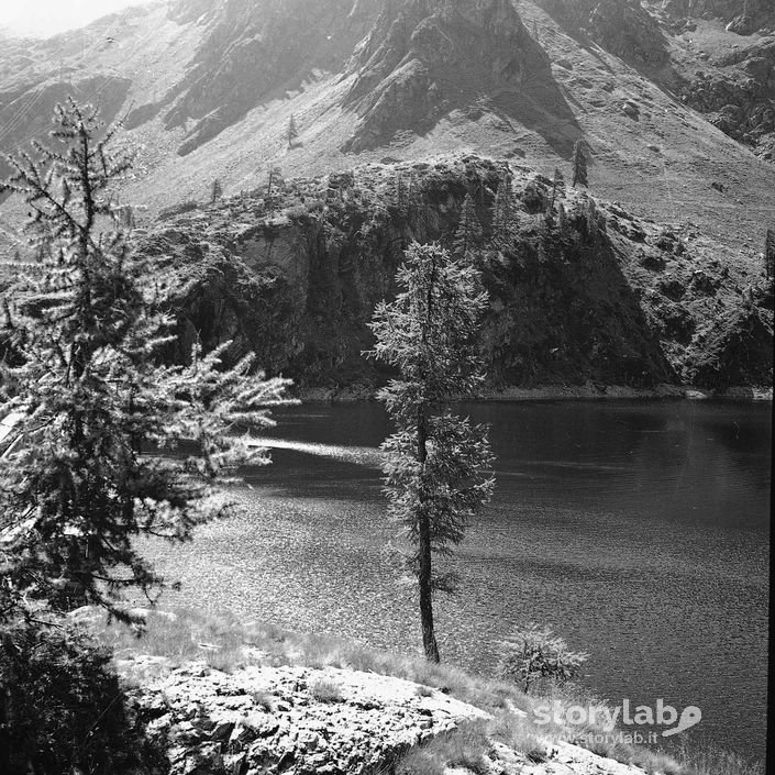 Il lago tra la vegetazione montana