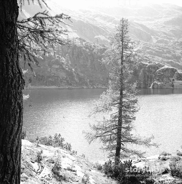 Paesaggio lacustre innevato