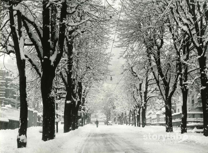 Viale Vittorio Emanuele innevato