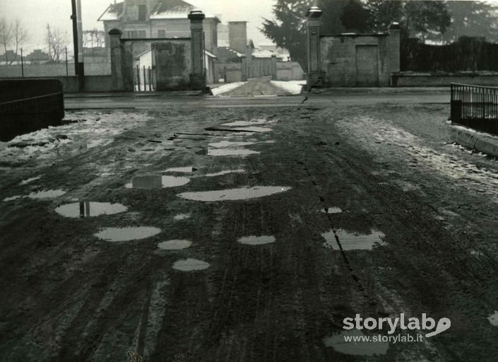 La strada di Via Ponchielli 