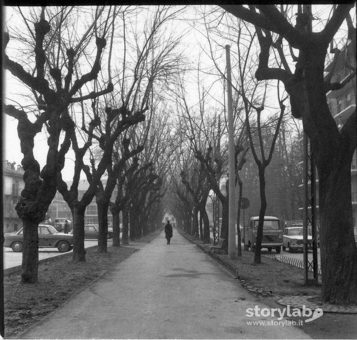 Passeggiata nel viale alberato, Via Battisti