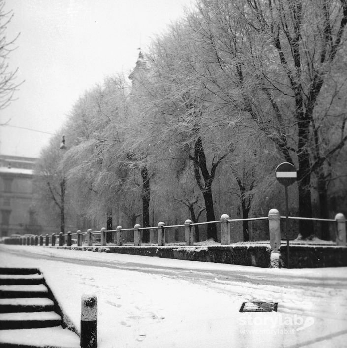 Viale innevato