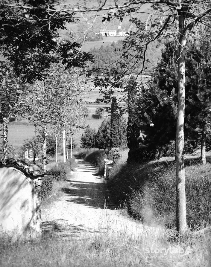 Strada nella natura e santella