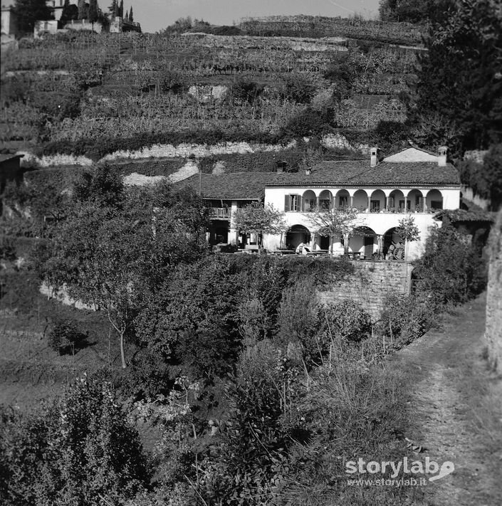 Tenuta della famiglia Nessi