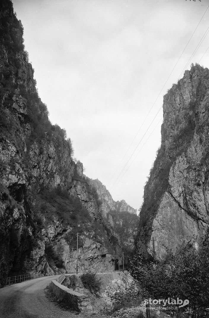 Strada nella natura