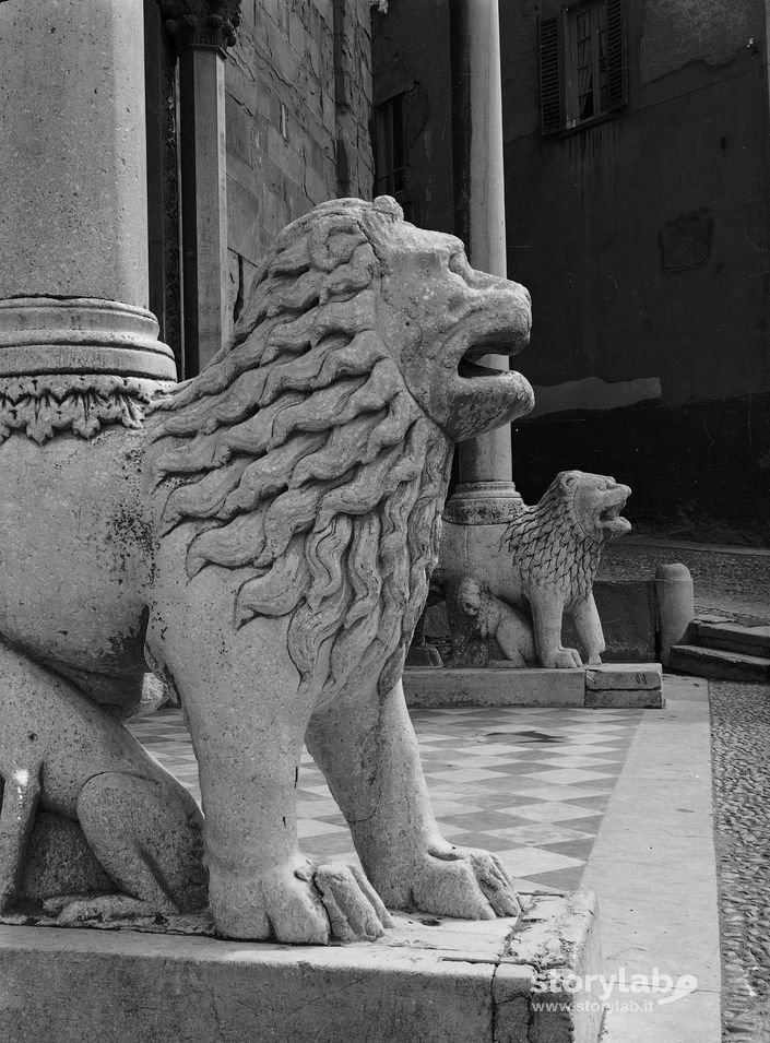 Il leone di Santa Maria Maggiore