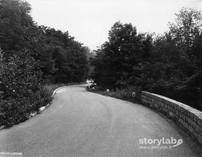 Strada tra i colli