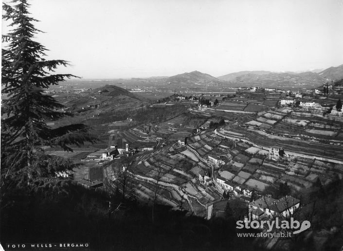 Vista sulla Valle di Astino