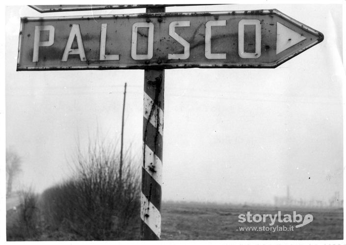Cartello stradale Palosco