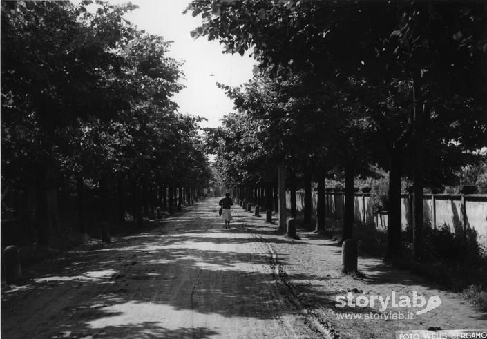 Viale a Martinengo