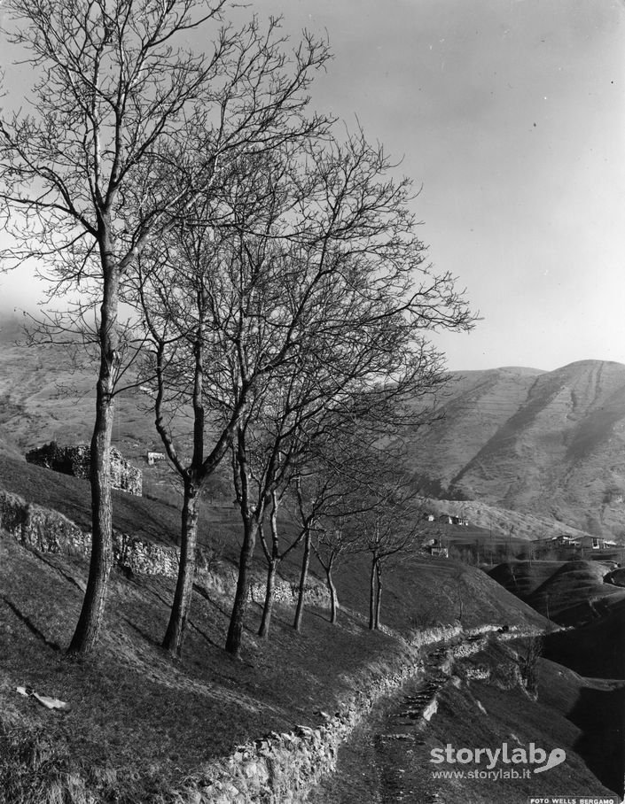 Paesaggio a Gandino