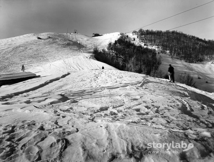 Piste da sci