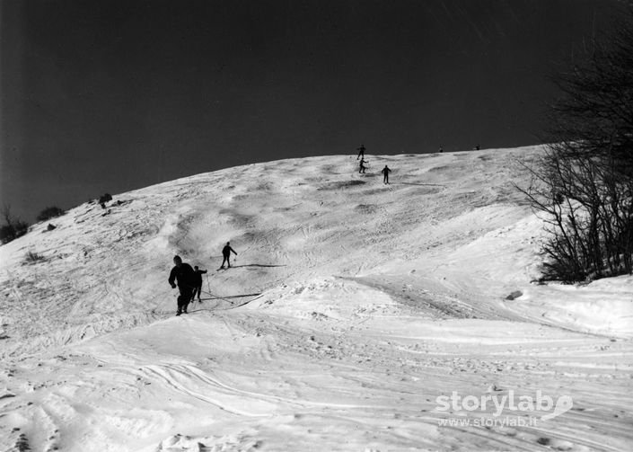 Piste da sci