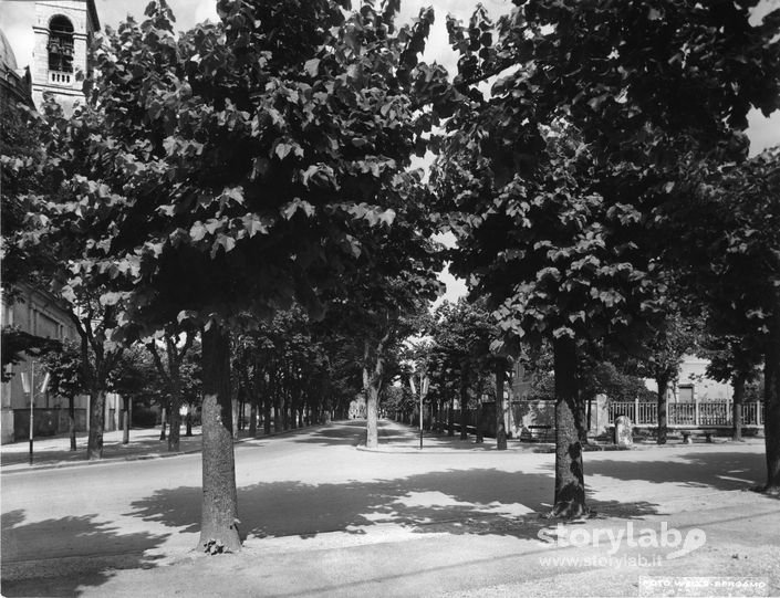 Viale Alberato a Trescore