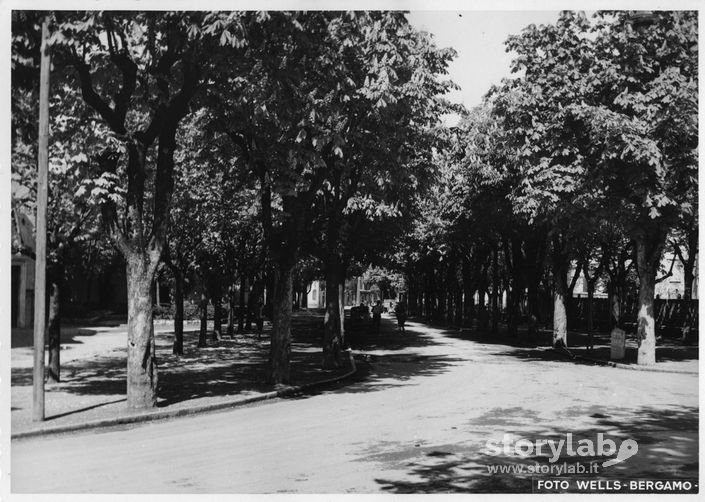 Viale Alberato a Trescore