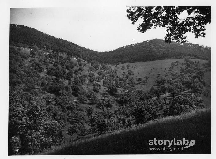 Montagne di Vigolo