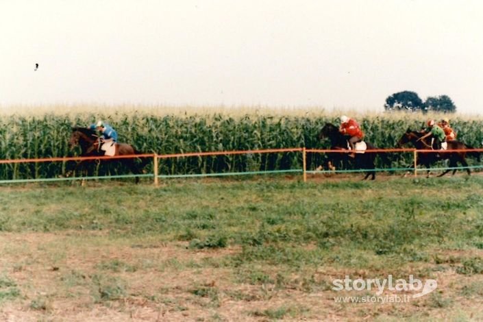 Palio A Malpaga