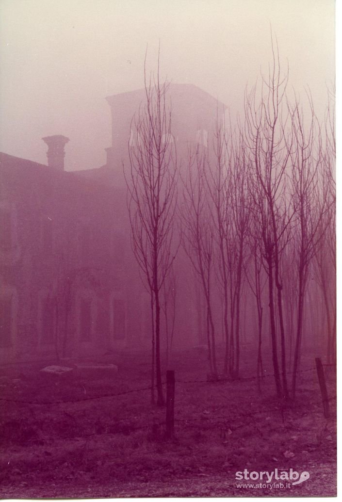 Nebbia sul Castello di Cavernago