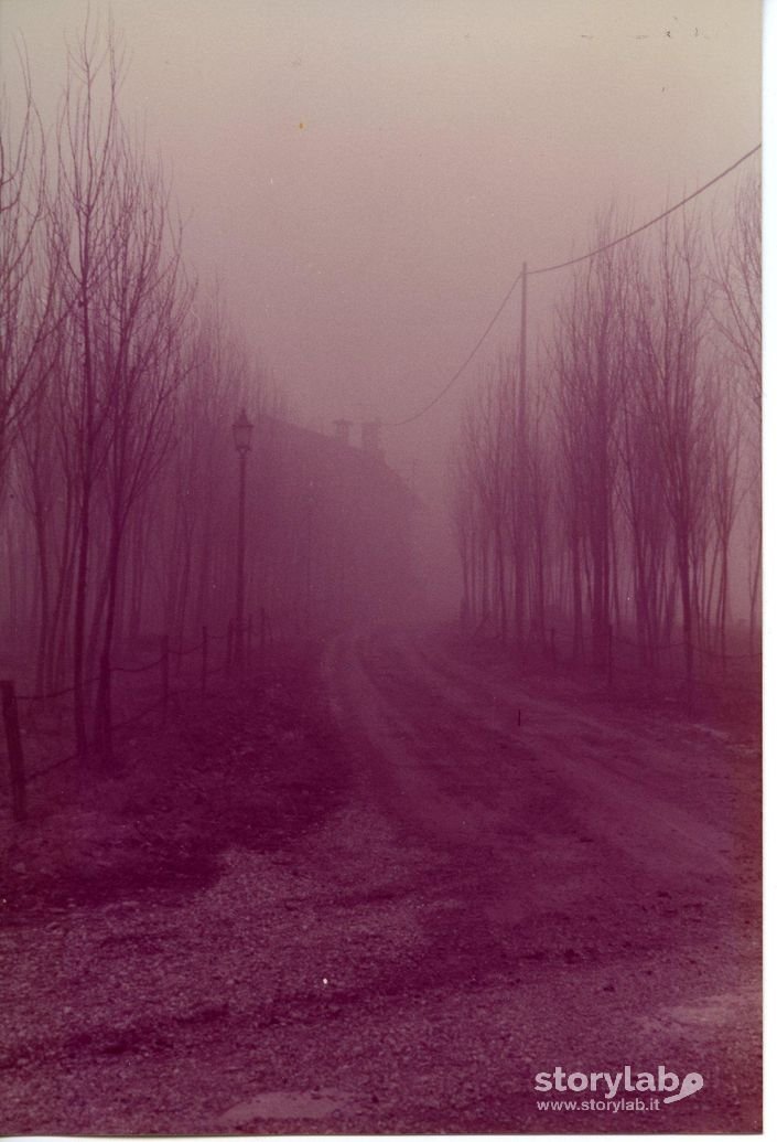Cascina del Castello di Cavernago nella nebbia