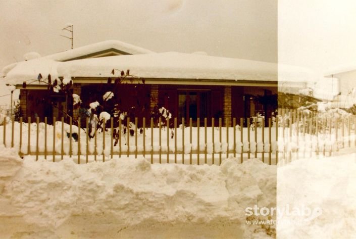 Nevicata Del 1985 A Cavernago