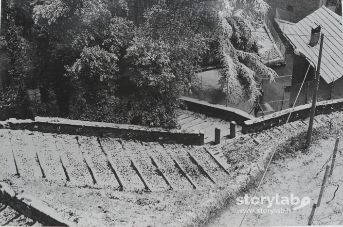 Scalinata Per San Michele Arc.