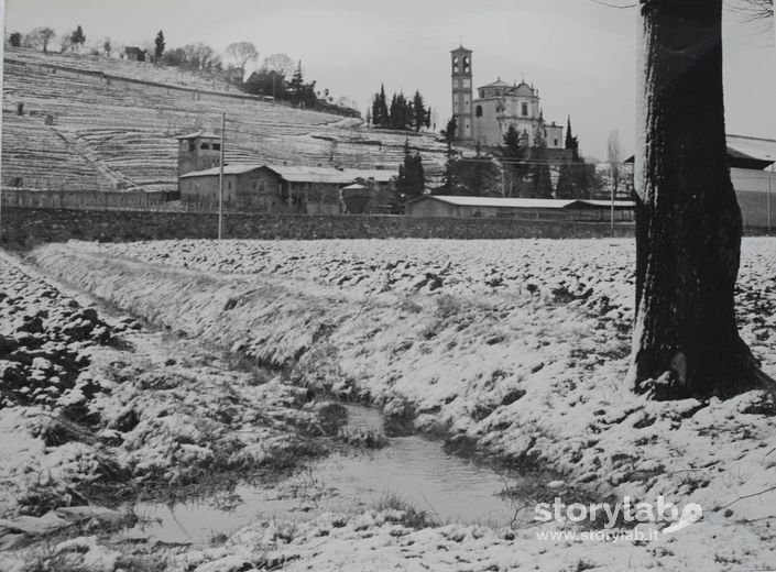 Veduta Della Parrocchiale Di San Michele Arc.