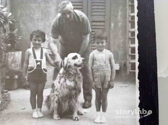 Castro. Thel, il cane da caccia del nonno. 1955