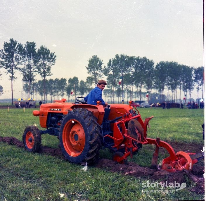 Festa Campagnola Con Esibizione Di Mezzi Agricoli