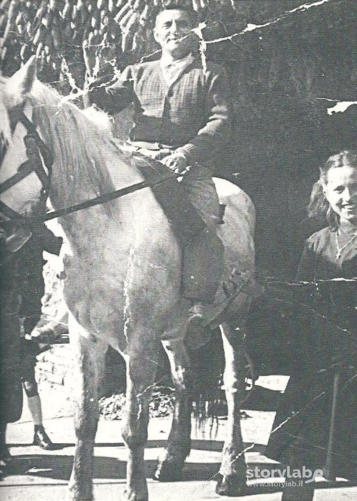 Una Pausa Di Lavoro Sul Cavallo Bianco