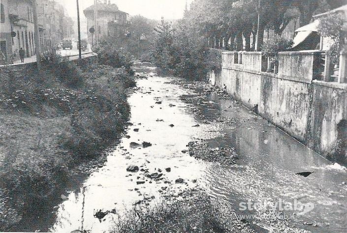 Torrente Morla