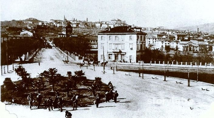 Piazzale Della Stazione Con Palme Esotiche