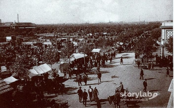 Nuovo Mercato Del Bestiame Alla Malpensata Nel 1915