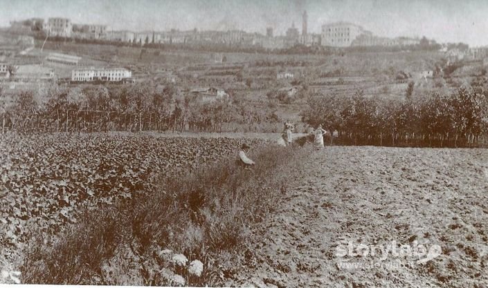 Città Alta Vista Dai Campi Dove Sorse L'Ospedale Maggiore