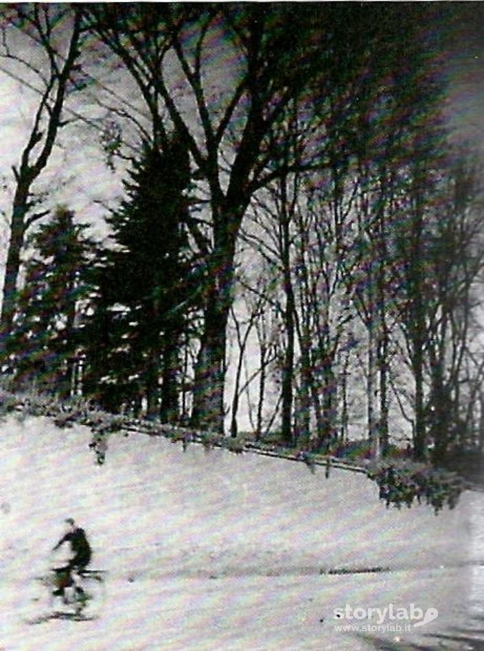 Esterno Parco Suardi 1942