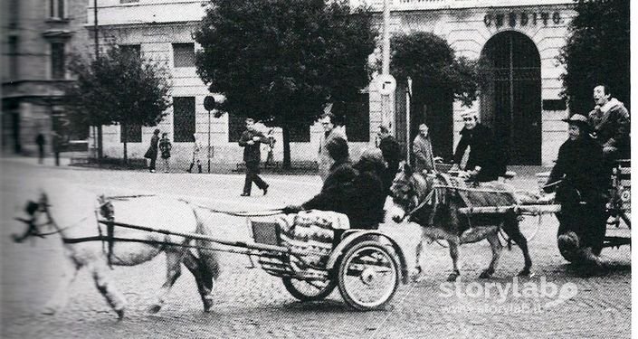 Tutti In Carretto Per L'Austerità  1973