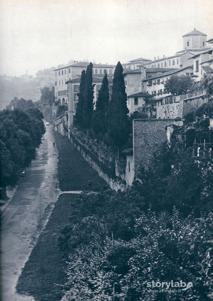 Il Viale Delle Mura Venete