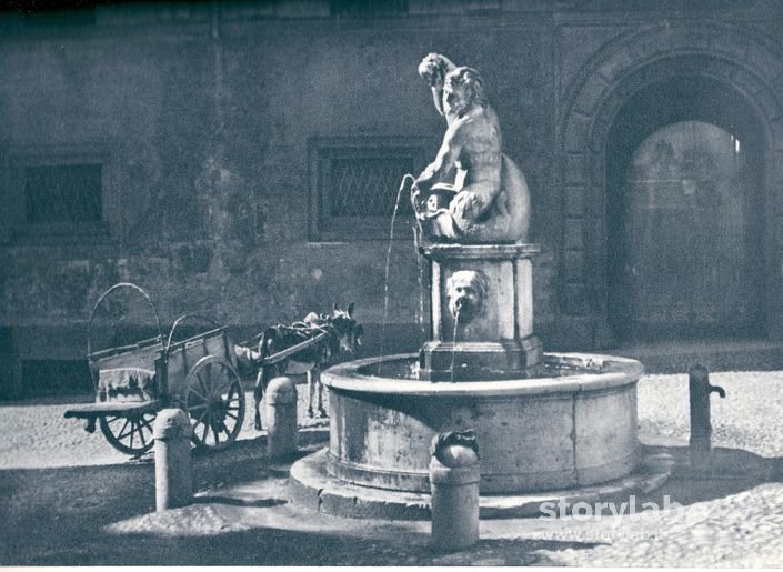 Fontana Del Delfino In Pignolo