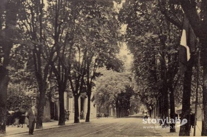 Viale Vittorio Emanuele