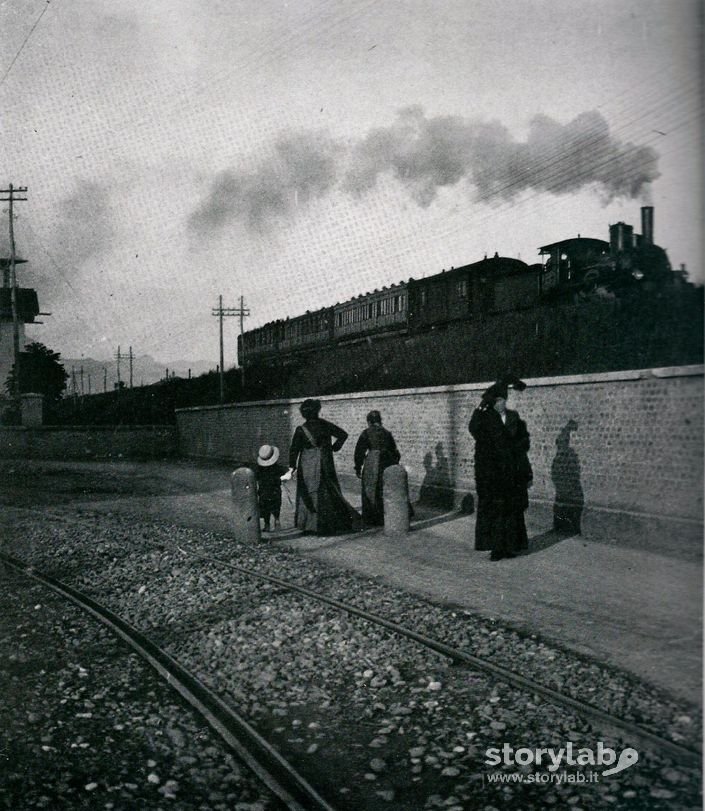 Rotaie Del Gamba De Legn A Bergamo(Fine 800)