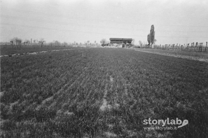 Campi Agricoli A Spirano