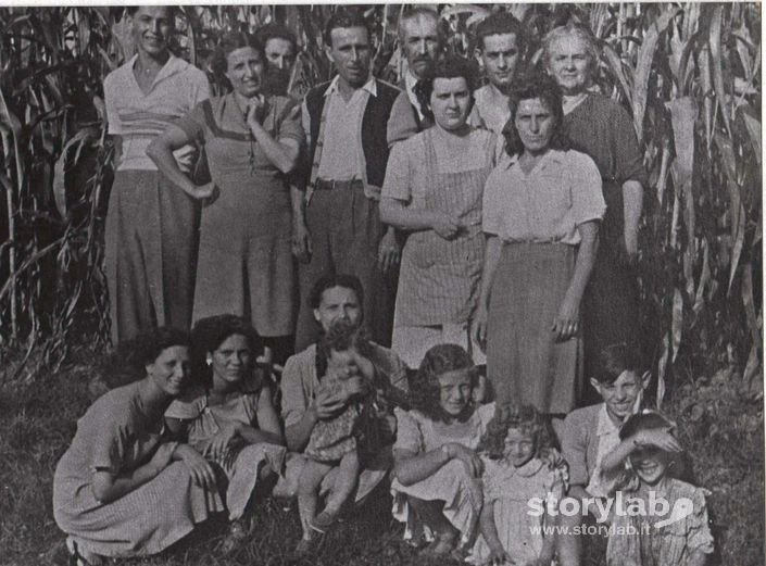 Foto Di Gruppo Nei Campi Di Spirano