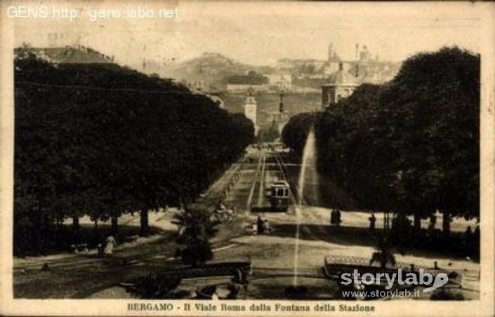 Viale Roma E Tram Elettrico