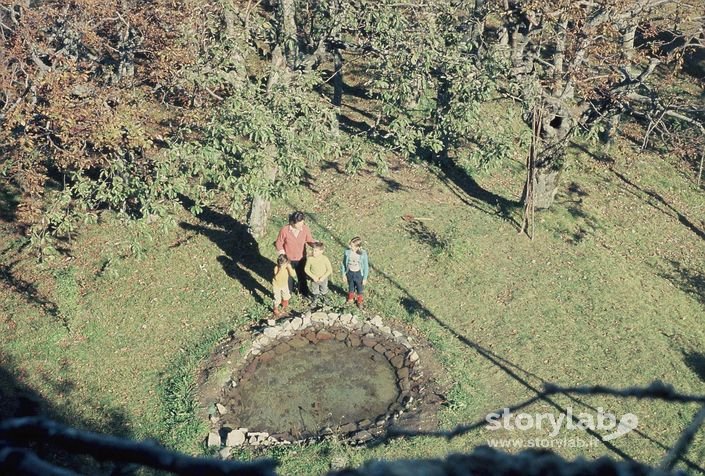 La Pozza Al Centro Del Roccolo Vista Dalla Finestra Dello "Sboradur" 