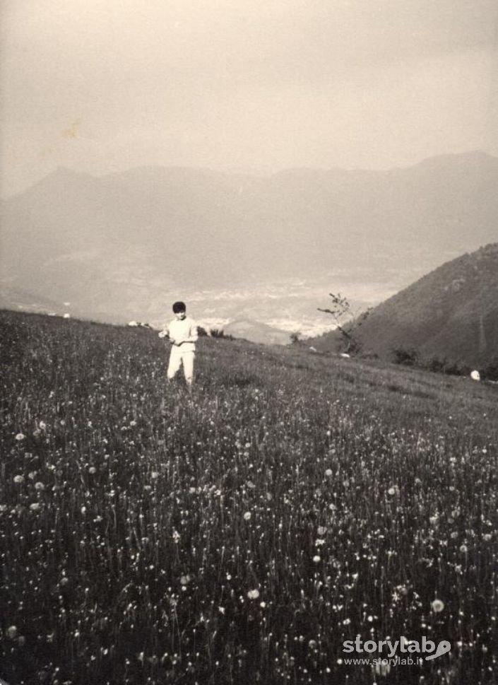 Selvino - Prati