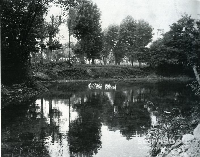 Fontanile Di S.Rocco